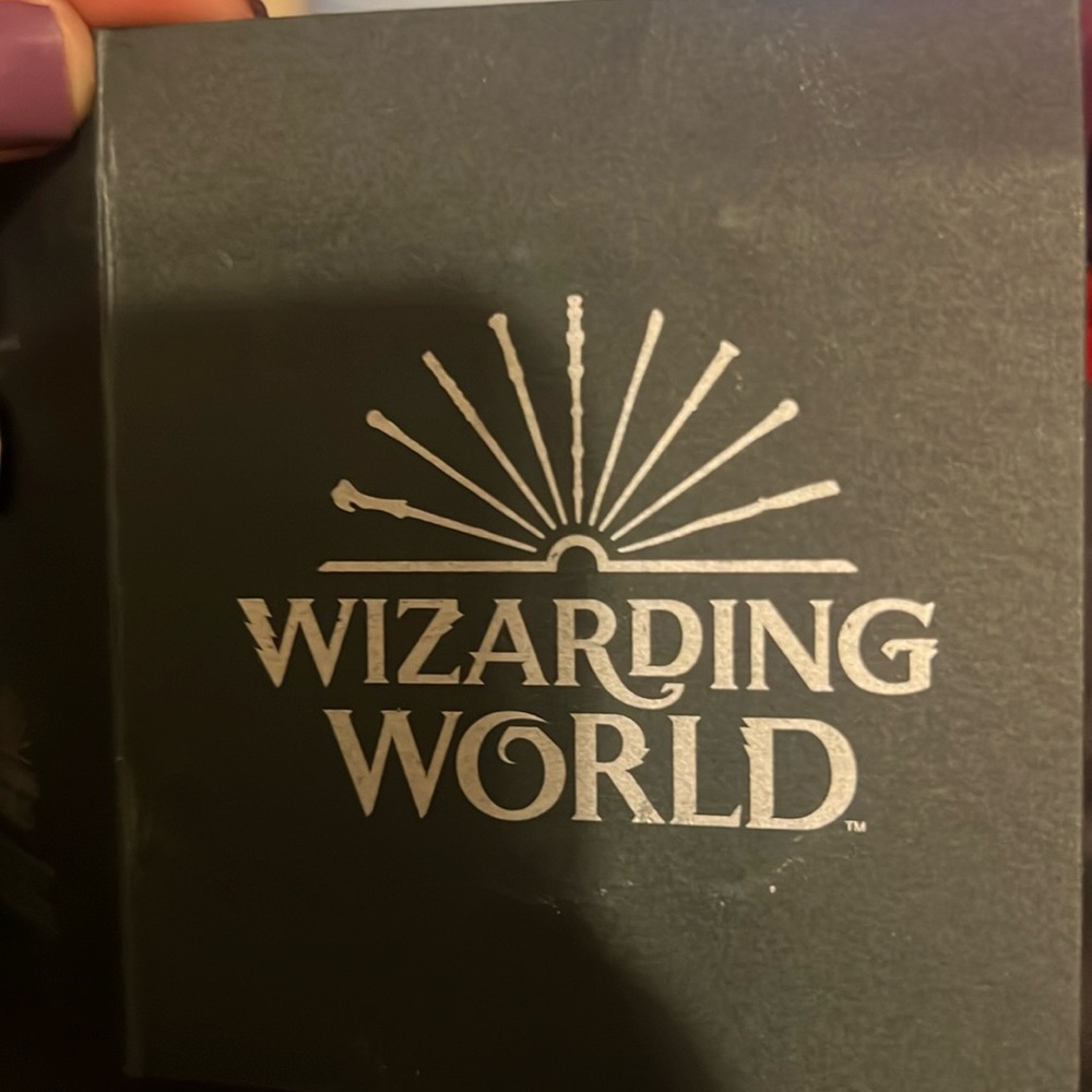 Harry Potter collectors pin